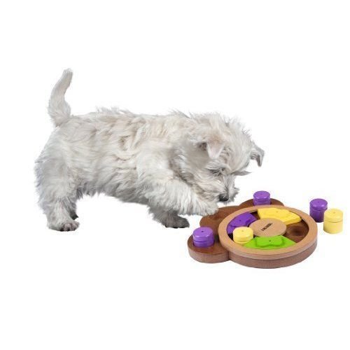 Thinking and Learning Toy Paw - Kerbl