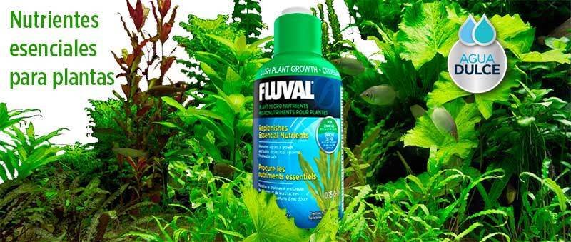 Hagen Fluval Plant Micro Nutrient for Aquariums  4 fl oz /120 ml