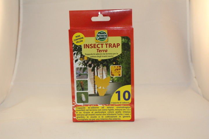 Double-sided adhesive traps with cromotropic inserd into the ground 10-12 X 8 cm