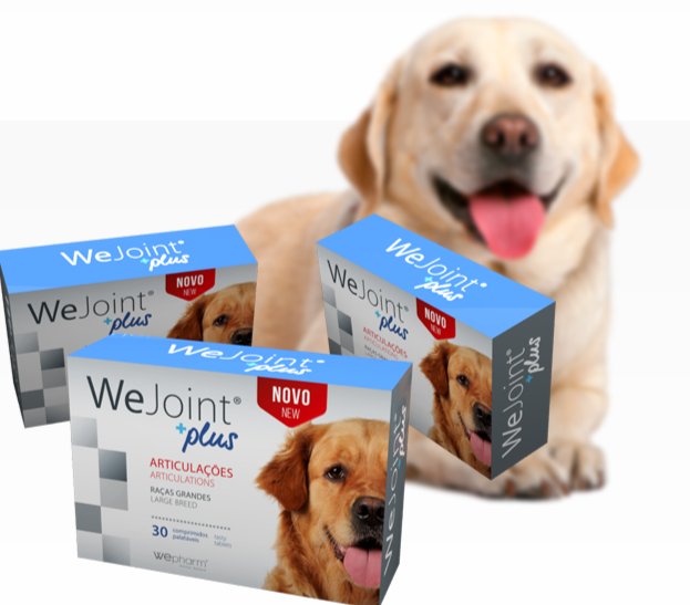 Wejoint plus supplement joint protection, joint care dog cat dog