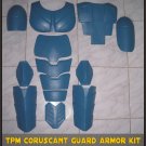 Custom Made Star Wars Coruscant Senate Guard TPM Life Size Armor Prop Kit