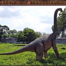 Custom Made Life Size Brachiosaurus Adolescent Dinosaur Statue