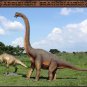 Custom Made Life Size Brachiosaurus Adolescent Dinosaur Statue