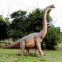 Custom Made Life Size Brachiosaurus Adolescent Dinosaur Statue
