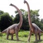 Custom Made Life Size Brachiosaurus Adolescent Dinosaur Statue