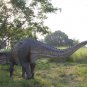Custom Made Life Size Postosuchus Dinosaur Statue
