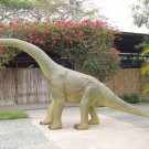 Custom Made Life Size Baby Brachiosaurus 15' Dinosaur Statue