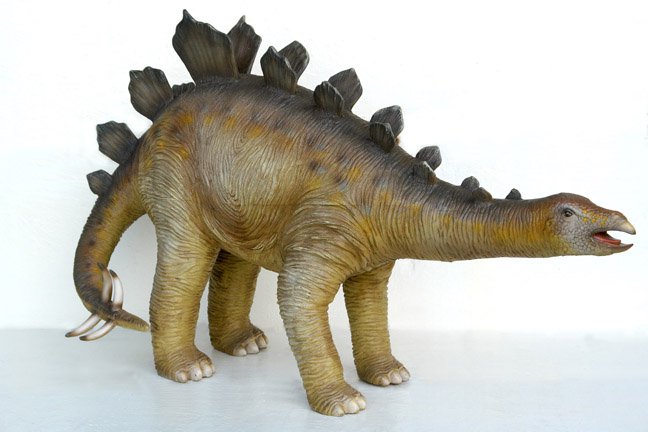 juvenile stegosaurus