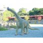 Custom Made Life Size Baby Brachiosaurus 15' Dinosaur Statue