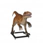 Custom Made Life Size Deinonychus/Jurassic Park Veloceraptor 10' Dinosaur Statue