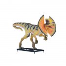 Custom Made Life Size Venenifer/Jurassic Park Frilled Dilophosaurus 10' Dinosaur Statue