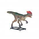 Custom Made Life Size Venenifer/Dilophosaurus 10' Dinosaur Statue