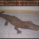 Custom Made Life Size Crocodile 9' Pre-Dinosaur Era Statue
