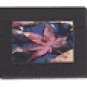 Digital Spectrum - Elite 7" TFT-LCD Digital Photo Frame
