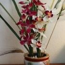 23"h Faux Pink White Orchid Plant Arrangement Ceramic Oriental Floral 5" h Vase