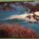 The Surfer's Journal/Two New Zealand Wave Farmers/vol 9/no 4