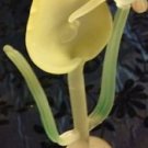 Small Frosted Glass Floral Figurine Hummingbird Yellow Calla Lily Heart Stand