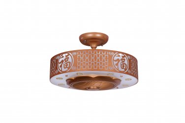 12in ANION CEILING FAN