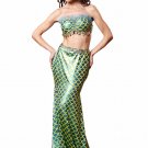 Sexy Mermaid Costume Halloween Costume For Woman Fish Scales Pattern Evening Wear Girls SY425