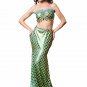 Sexy Mermaid Costume Halloween Costume For Woman Fish Scales Pattern Evening Wear Girls SY425