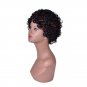 Short Curly Wigs for Women 1pc Heat Resistant Synthetic Hair Wigs 10inch SY426A