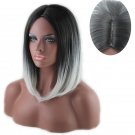 Ombre Black Wig Synthetic Wigs for Women Long Straight False Hair Girl Party Wigs SY441B
