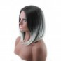 Ombre Black Wig Synthetic Wigs for Women Long Straight False Hair Girl Party Wigs SY441B