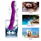 Electric Vibrator Vagina Clitoral Vibrating Stimulator Rechargeable 10-speed Vibration Sex Toy