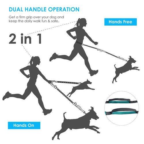 Reflective Hands Dog Lead Running Jogging Waist Belt Training Bungee Leash