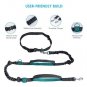 Reflective Hands Dog Lead Running Jogging Waist Belt Training Bungee Leash