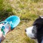 Portable Pet Water Bowl Bottle Dispenser Feeder Dog Cat Drinking Tool Outdoor