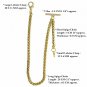 Albert Chain Pocket Watch Spiga Wheat Chain Gold color with Fob T Bar AC154