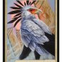 Limited Edition Bird Token for MTG ( Art by Pat Lewis)