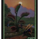 Limited Edition Plant Token for MTG ( Art by Eric Anderson)