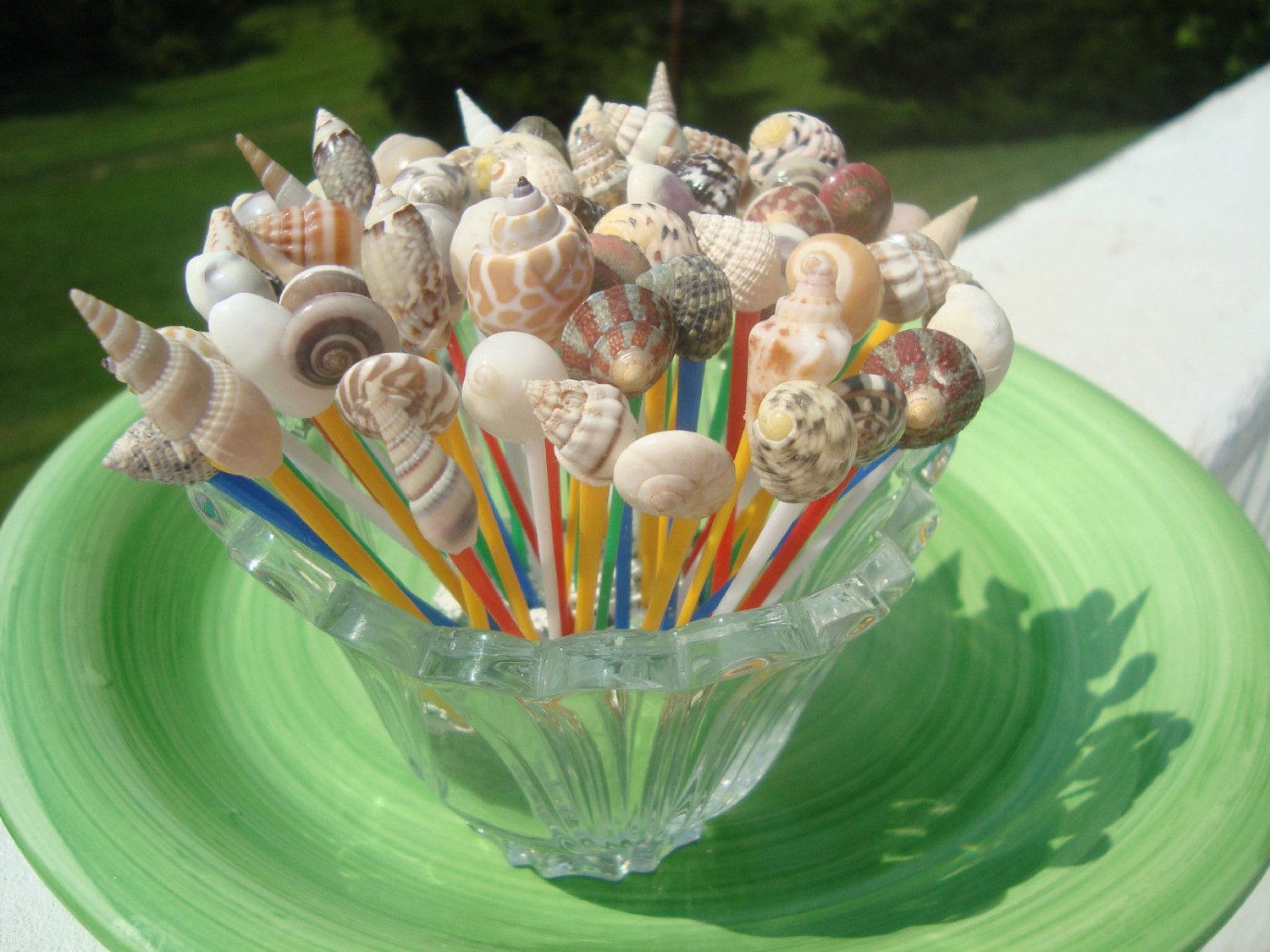 20 Seashell Plastic Toothpicks Party Skewers Picks Shells Wedding