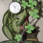 Metal Grape Leaf & Vine Desk or Table Clock, Antiqued Patina, Hand Rubbed Finish