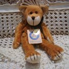 BOYDS FOODLE MCDOODLE 9" BABY BOYDS BEAR RETIRED  ***NEW STORE STOCK**