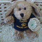 BOYDS INDY DOG CAMP  5" RETIRED  ***NEW STORE STOCK***