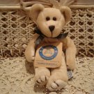 BOYDS TOODLE PADOODLE 6" TALL BABY BOYDS BEAR ****NEW STORE STOCK***