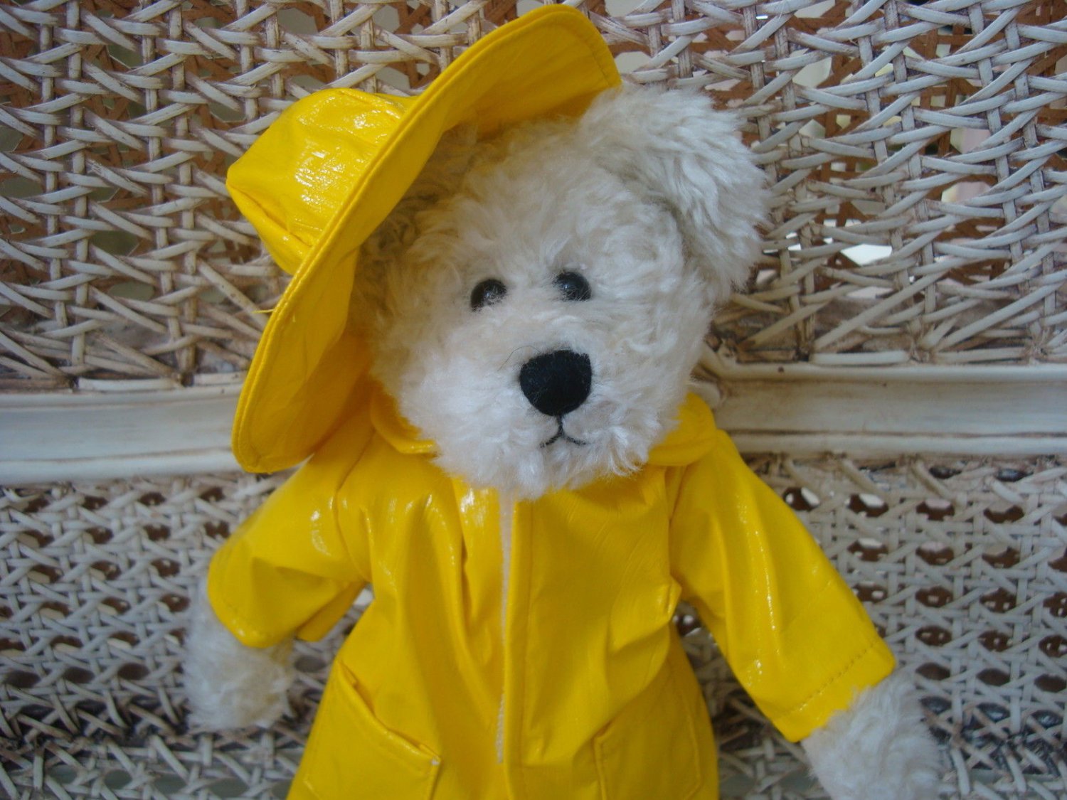 raincoat teddy bear