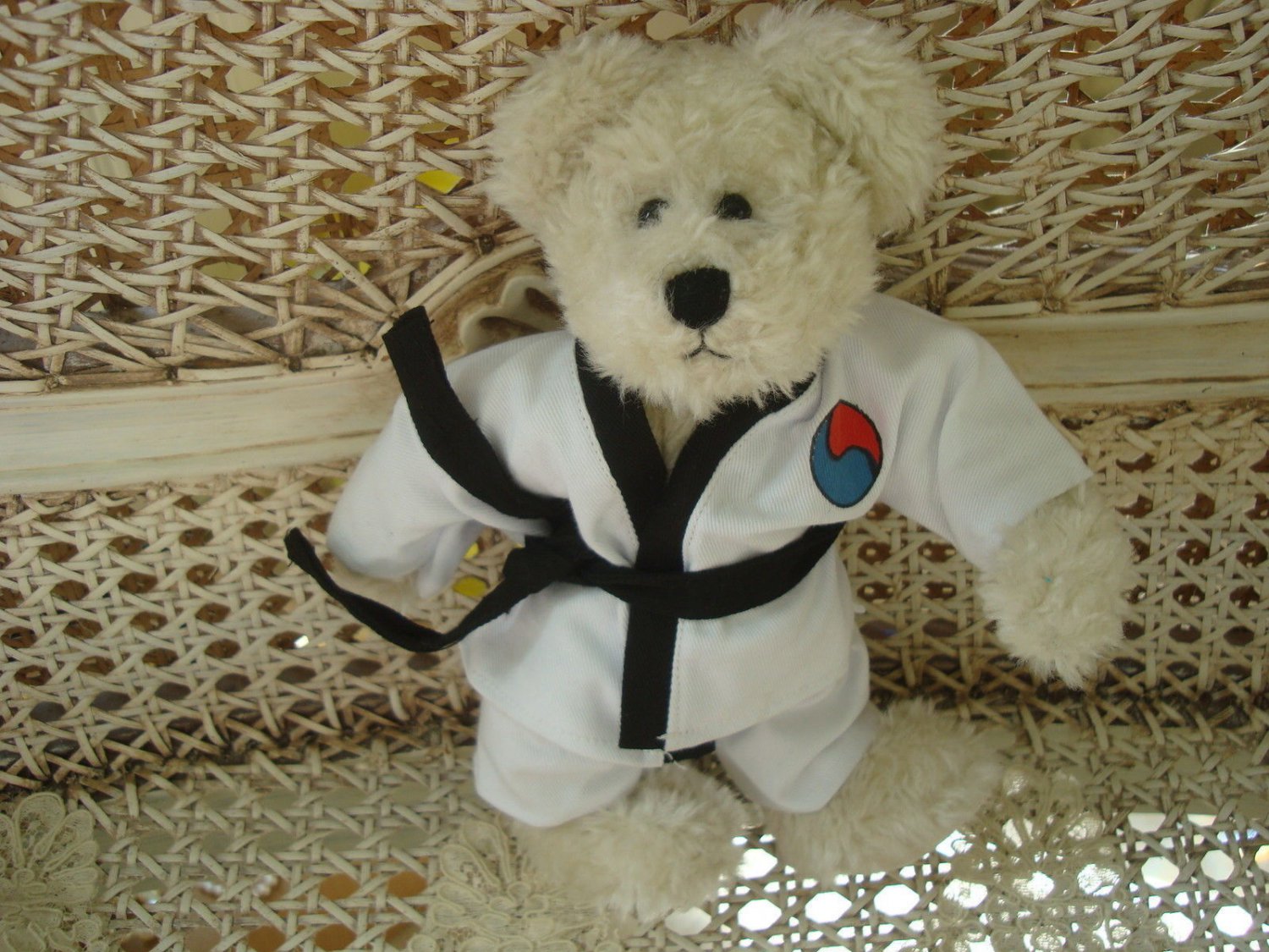 ADORABLE TAE KWON DO OUTFIT FOR BOYD'S BEARS ****SO CUTE****