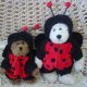Outfits For Bears
