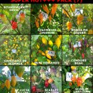 SUPER HOT 10 +++, 9 hottest chili peppers in the world, 9X10, 90 seeds, pack (7)