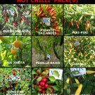 HOT CHILLI, 9 varieties of chili peppers, 9 X 10, 90  seeds (9)