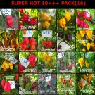 SUPER HOT 10+++ ,20 hottest chili peppers in the world, 200 seeds, pack (16)