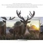 Zidoo X9S Android TV Box - Realtek RTD1295 CPU, 2GB RAM, HDMI In, PVR