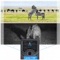 PR-200B 120 Degrees Wide Angle Lens IP56 Waterproof 12MP HD Infrared Hunting Trail Camera (Black)
