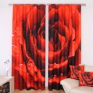3D curtain set ZR20