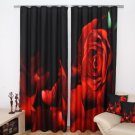 3D curtain set ZR30