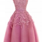 A-Line Illusion Neckline Lace Short  Prom Dresses Party Evening Gowns E0286